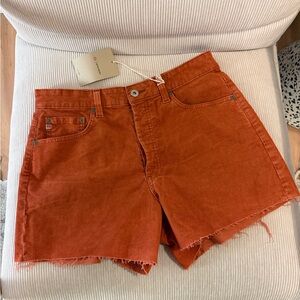 AG Denim Shorts NWT size 29